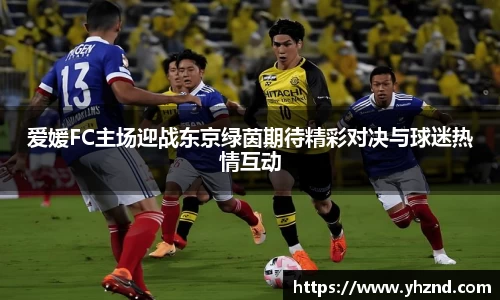 MYBALL迈博官网